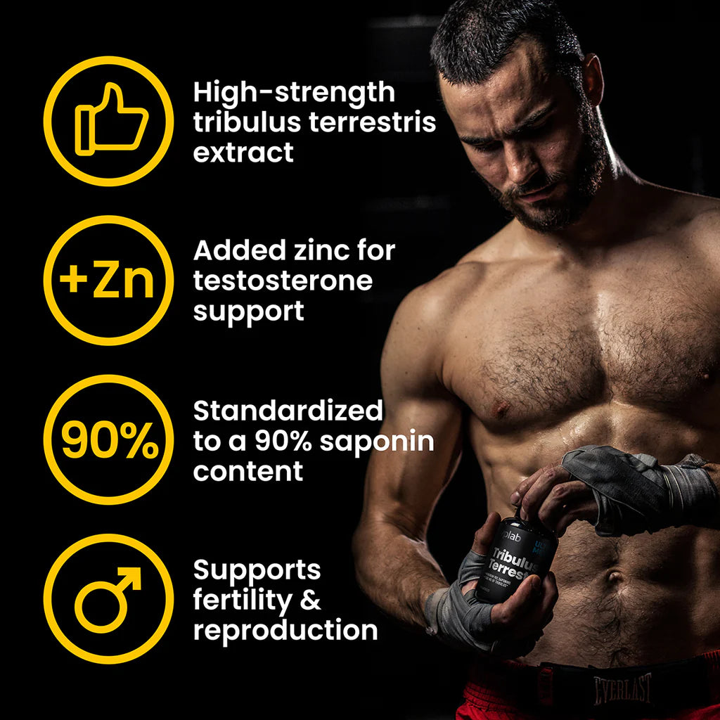VPLAB Tribulus Terrestris 90 Capsules